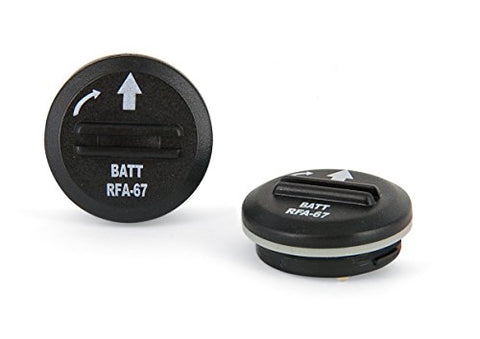 Pet Safe RFA-67D-11 Lithium Battery 2 Count