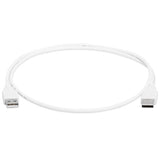 Evercoss 3 Feet USB 2.0 A Male to A Male Cable, White